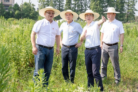 运河农场_副本.jpg 运河农场_副本.jpg